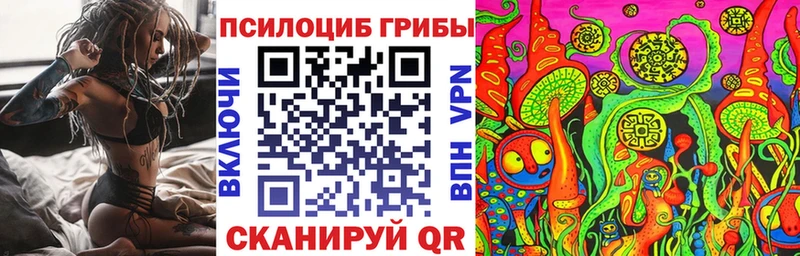 Псилоцибиновые грибы Cubensis  Купить закладки  Хотьково 